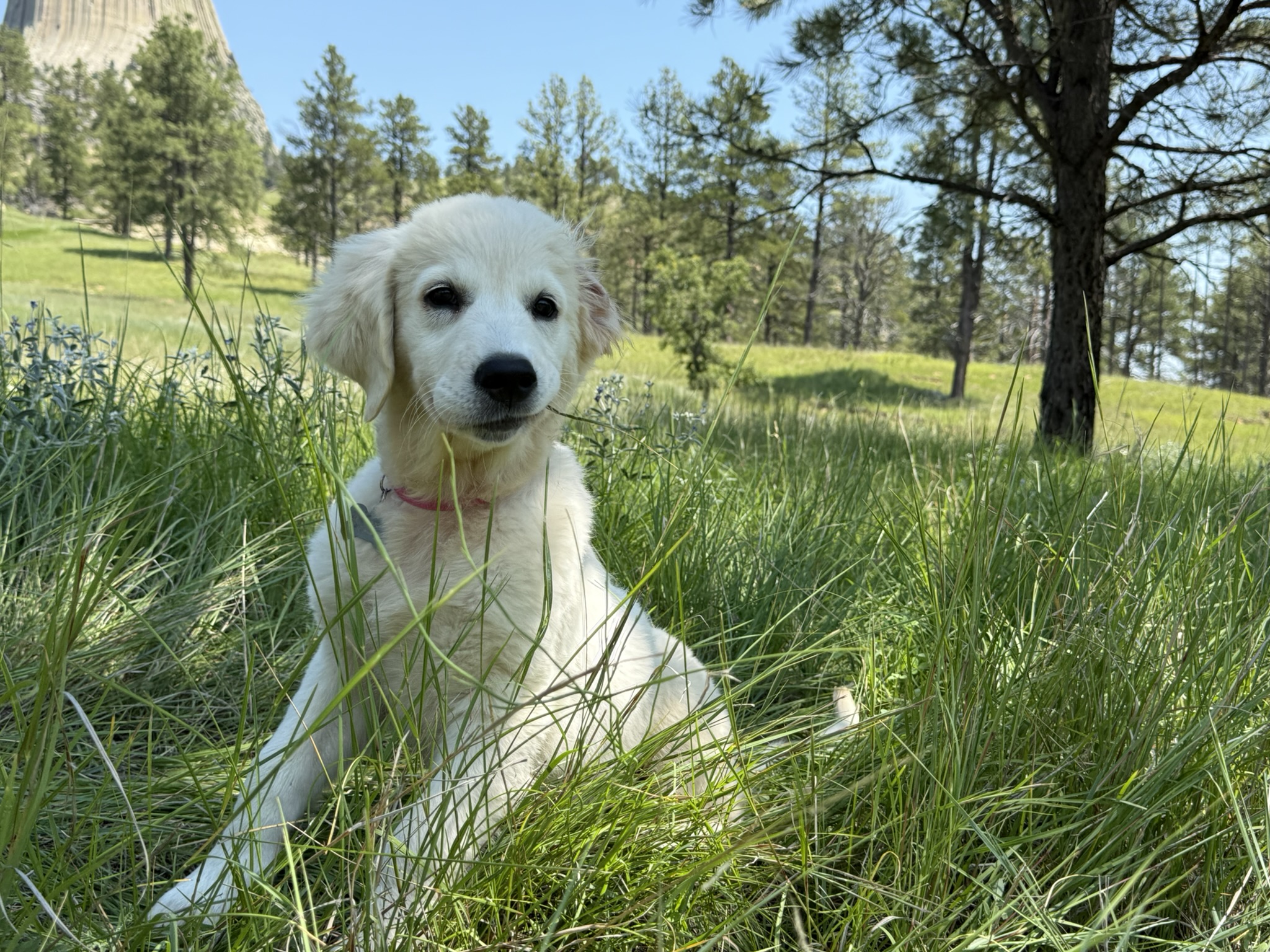 Miss Hunters Magic Miss Hunters Magic